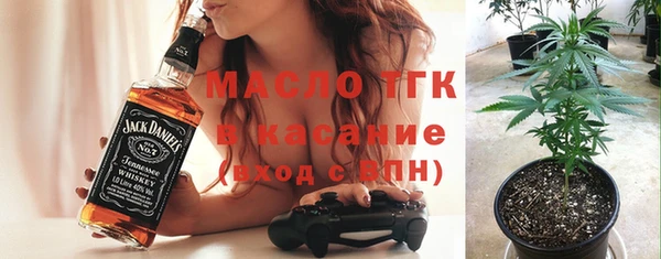 твердый Арсеньев